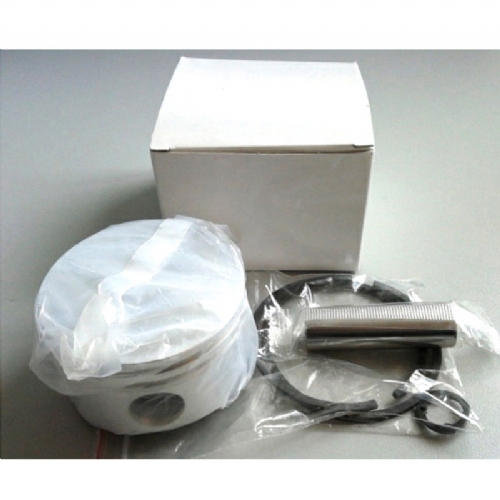 Pistion assembly BOCK FKX40-655